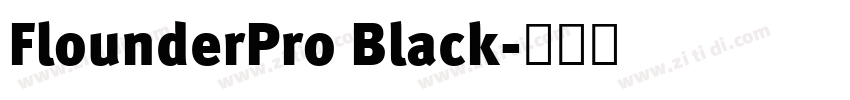 FlounderPro Black字体转换